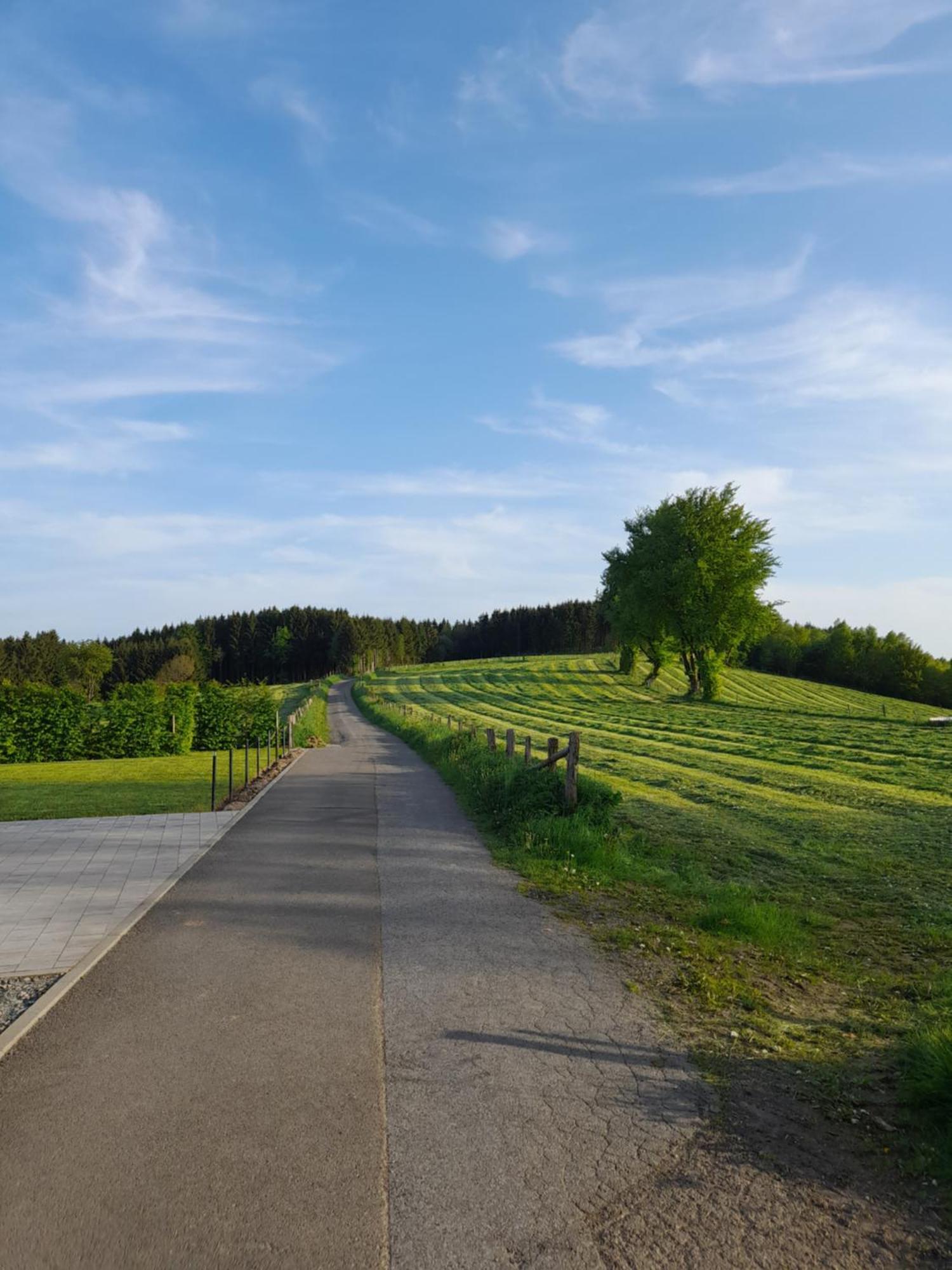 L'Ecureuil - Terrasses De Malmedy Villa Eksteriør bilde