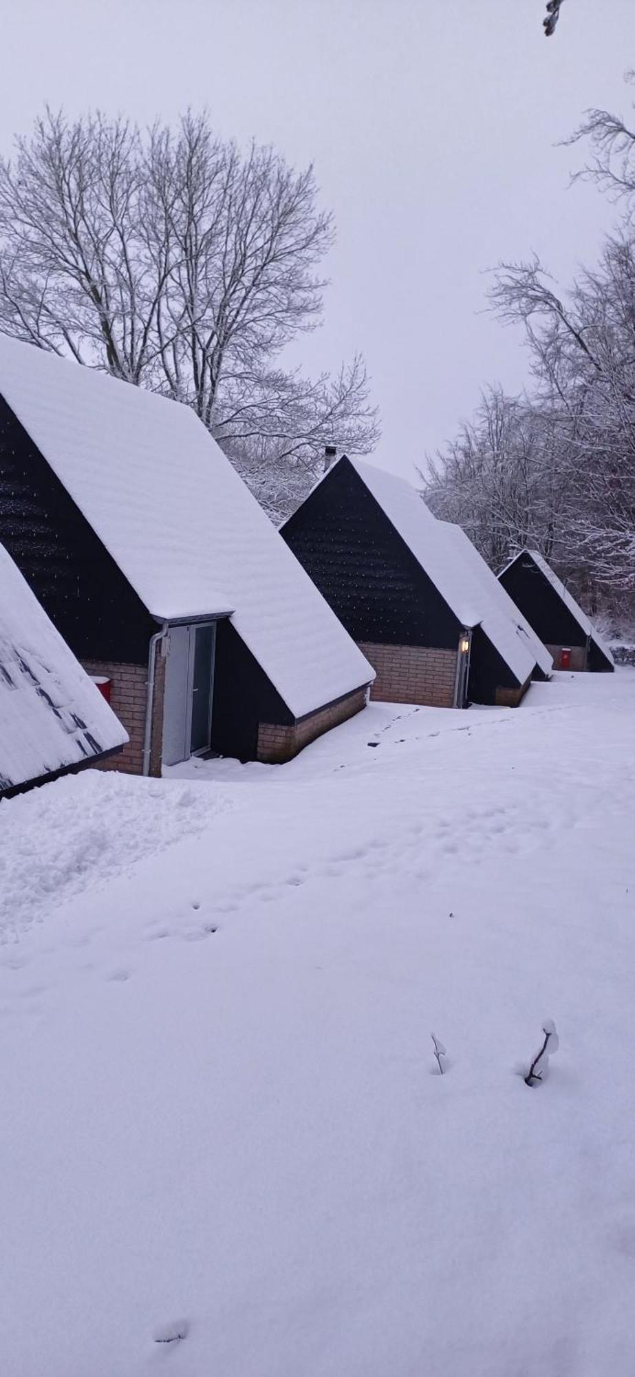 L'Ecureuil - Terrasses De Malmedy Villa Eksteriør bilde